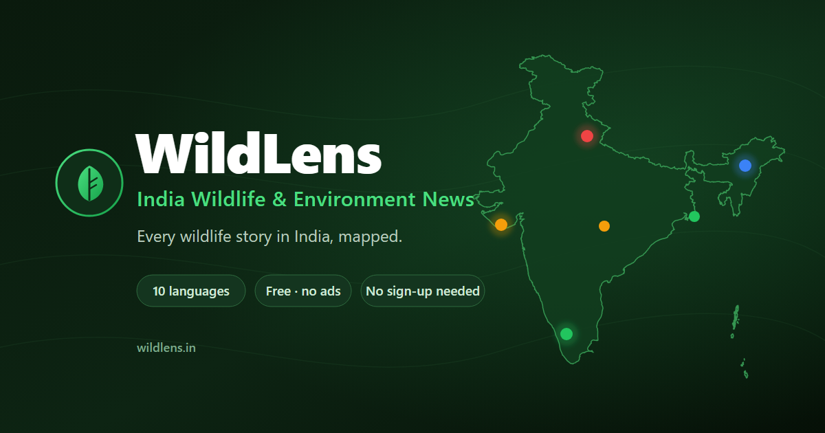 Screenshot of WildLens